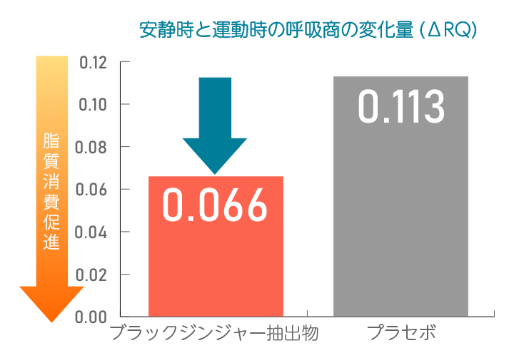 脂肪を消費しやすくする機能