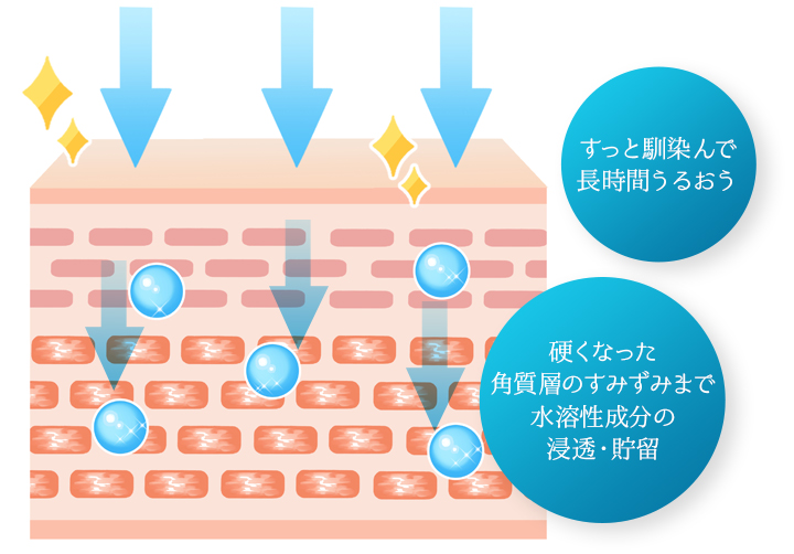 美容成分を深く届け、うるおいキープ