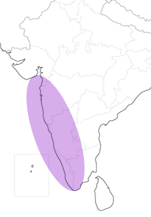 インドのコンカン地域