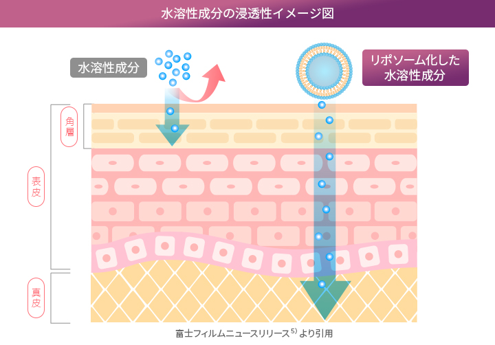 リポソームとは？