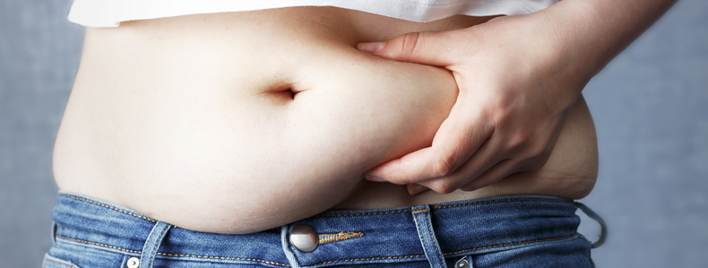 作用機序　体脂肪を減らすアプローチについて
