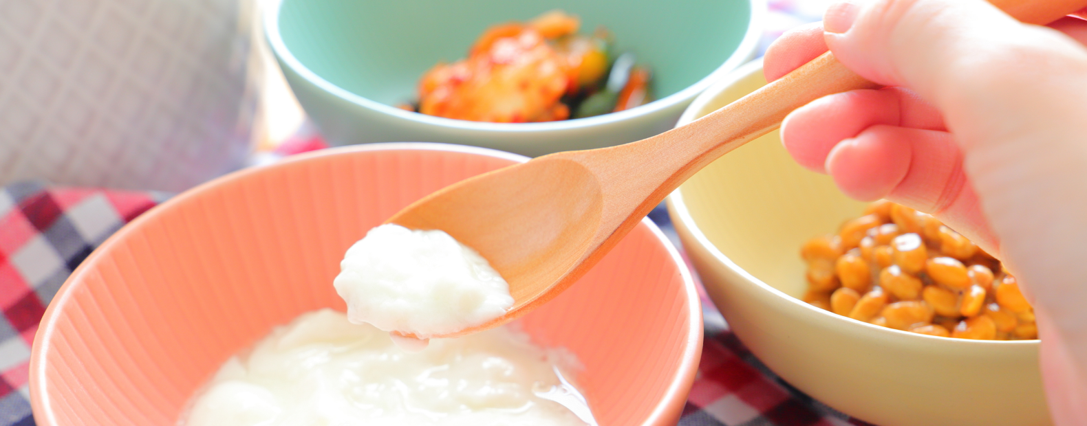 腸活に良いとされている食材など