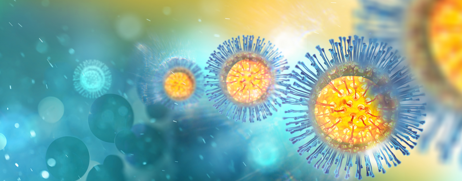 様々なウイルスに対抗する免疫ケアとは