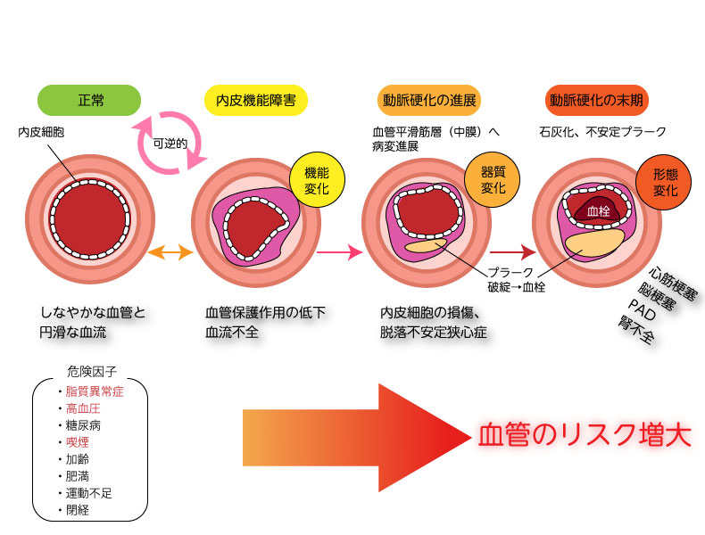 喫煙は目にダメージを与えます