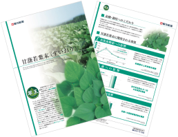 【ダウンロード資料】甘藷若葉末のご紹介