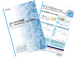 【ダウンロード資料】CRL1505乳酸菌のご紹介